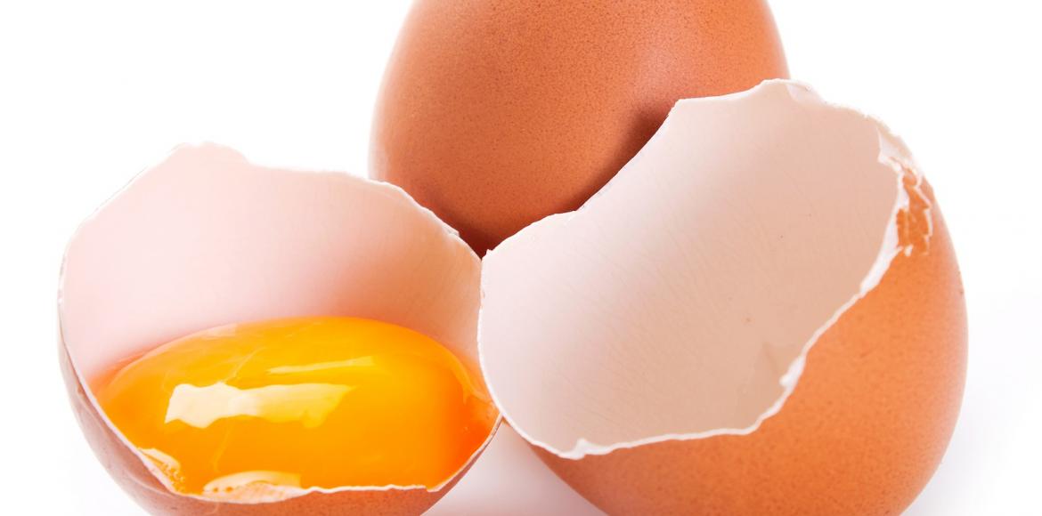 oeufs fond blanc