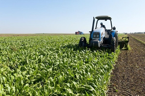 Côte d’Ivoire : La BAD décaisse 67 milliards FCFA pour créer un pôle agro-industriel dans le Centre du pays