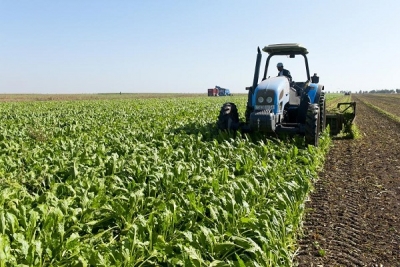 C&ocirc;te d&rsquo;Ivoire : La BAD d&eacute;caisse 67 milliards FCFA pour cr&eacute;er un p&ocirc;le agro-industriel dans le Centre du pays