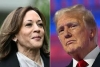 États-Unis/Elections américaines 2024 : en cas d’égalité, voici comment Kamala Harris et Donald Trump seront départagés