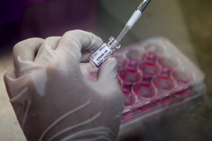 Covid-19/ Vaccin;  L&#039;UE et les USA veulent intensifier leur coopération
