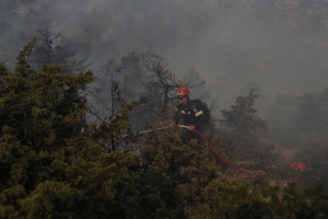 La France touchée à son tour par les feux de forêt