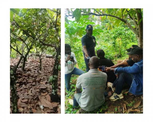 Côte d&#039;Ivoire: des journalistes ivoiriens formés à l’Observation Indépendante du Cacao durable à Man