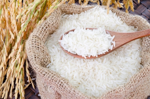 Côte d’Ivoire : Une usine de transformation du riz local ouverte à Gagnoa