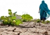 COP21 : Ce que l&rsquo;Afrique attend de l&rsquo;accord global sur le climat