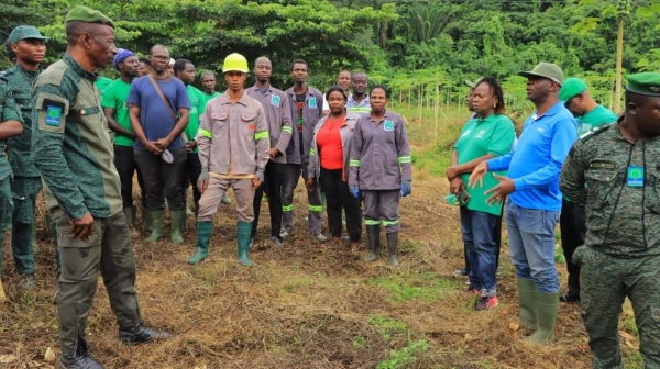 Côte d’Ivoire/Reboisement : la SODEFOR baptise une parcelle d’un hectare au nom de l’agence de coopération coréenne