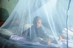 Côte d&#039;Ivoire/ Lutte contre le paludisme : Le taux de mortalité en baisse d’environ 50%