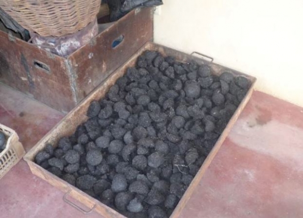 Côte d’Ivoire : A Afféry, on cuisine sur du charbon fabriqué à partir de résidus de produits agricoles
