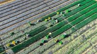 Modernisation de l'agriculture et revitalisation rurale : pour la construction d'une puissance agricole