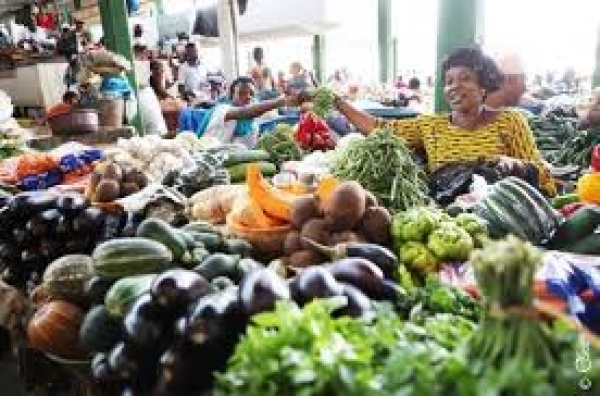 Côte d&#039;Ivoire/  Autosuffisance alimentaire: Des projets concrets pour booster la production locale