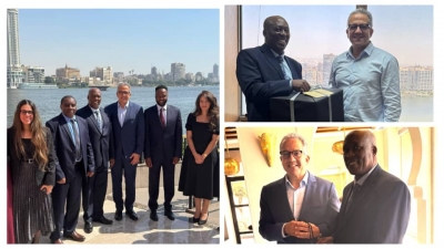 Le pr&eacute;sident et le parrain du FPMA se rencontrent au Caire pour faire progresser la diplomatie du patrimoine africain
