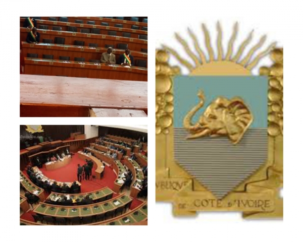 Côte d&#039;Ivoire : des députés PDCI-RDA quittent la salle, lors d&#039;une session ordinaire  de l&#039;Assemblée nationale