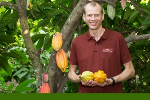 Les forêts, le cacao et les agriculteurs - trouver le juste équilibre