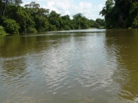 C&ocirc;te d&rsquo;Ivoire : Des eaux us&eacute;es d&rsquo;une usine droit dans le fleuve Bandama