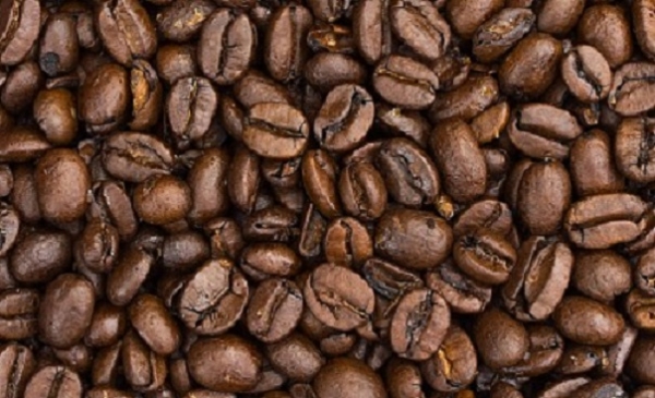 Un programme de 8 milliards pour la relance de la filière caféière en Côte d’Ivoire