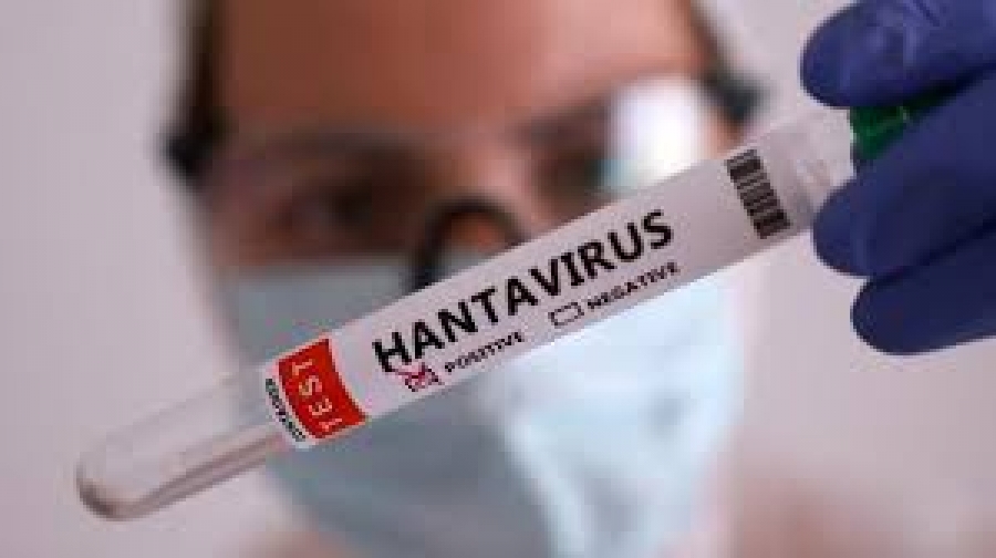 Hantavirus : ce qu'il faut savoir sur cette maladie mortelle comme le Covid19