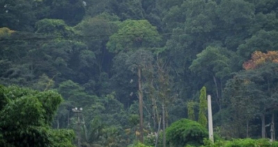 C&ocirc;te d&rsquo;Ivoire : Quand orpailleurs et braconniers menacent le parc national de la Como&eacute;