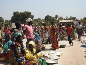 Crise en RCA : plus de 84.000 Centrafricains réfugiés dans les pays voisins (HCR)