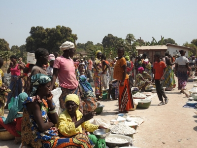 Crise en RCA : plus de 84.000 Centrafricains r&eacute;fugi&eacute;s dans les pays voisins (HCR)