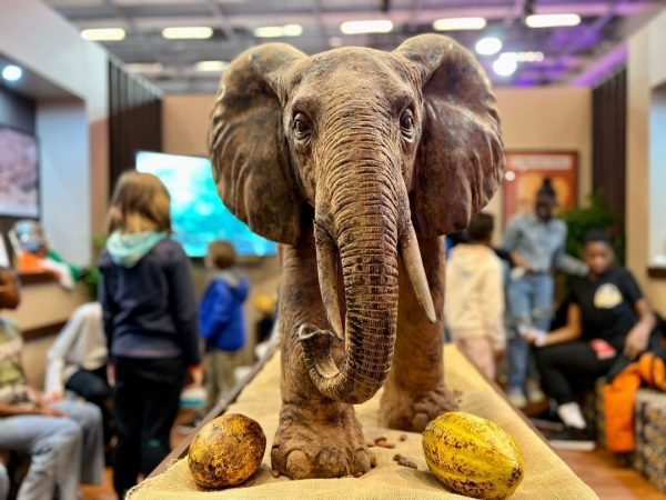 27e Edition du Salon du Chocolat de Paris : La Côte d’Ivoire montre le savoir-faire de ses artisans chocolatiers