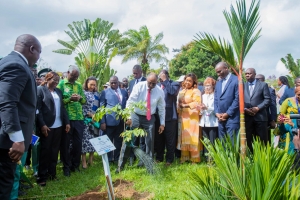 Restauration du Couvert Forestier : La Côte d’Ivoire veut reboiser 100 000 Hectares chaque année