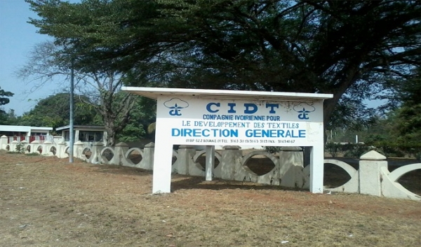 Côte d’Ivoire-Coton : Le nouvel acquéreur de la CIDT annonce de bonnes perspectives pour les cotonculteurs