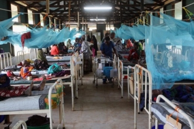 Sant&eacute; : Promouvoir des solutions africaines pour les populations africaines