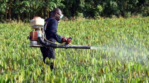 Côte d’Ivoire-Gestion des pesticides obsolètes : Enseignants et chercheurs instruits sur le projet PROGEPC