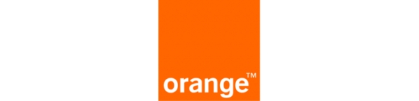 Côte d’Ivoire : Orange Gaming Tour, premier tournoi d’E-sport, devient « Orange Esport Experience »