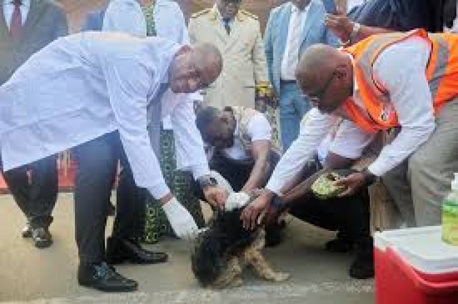 Côte d’Ivoire : la rage toujours une menace, le gouvernement intensifie la prévention Côte d’Ivoire : la rage toujours une menace, le gouvernement intensifie la prévention