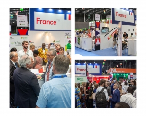 SARA 2025 : une vitrine de l’excellence agricole française