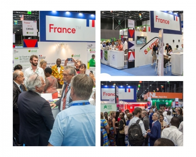 SARA 2025 : une vitrine de l’excellence agricole française