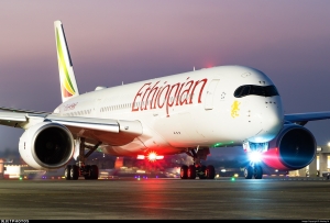 Ethiopie/ visa électronique : Plus de 200 000 voyageurs de 217 pays ont visité l&#039;Éthiopie