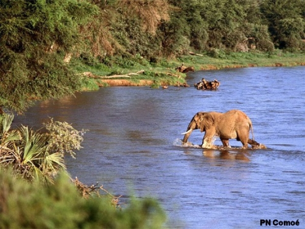 Côte d’Ivoire : Le parc national de la Comoé candidat à l&#039;inscription sur la liste verte de l’UICN