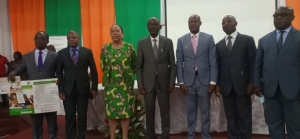 Côte d’Ivoire: L’affectation des élèves en Seconde désormais effectuée en ligne (Ministère)