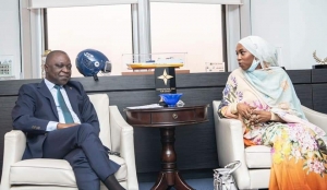 Coopération régionale :Le Ministre Amadou Koné échange avec son homologue du Tchad