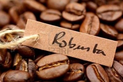 Côte d’Ivoire: La relance du café Robusta en Afrique de l’Ouest et du Centre au centre d&#039;un colloque à Abidjan