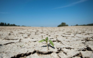 Journée Mondiale de la Terre 2020 : la pandémie de Covid-19 n’empêche pas la BAD de lutter contre le changement climatique