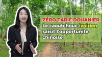 Z&Eacute;RO TARIF DOUANIER  Le caoutchouc ivoirien saisit l'opportunit&eacute; chinoise