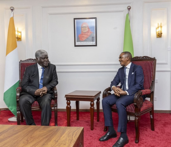 Sommet africain de l&#039;énergie 2025 :  Robert Beugré Mambé porte la voix de la Côte d&#039;Ivoire en Tanzanie