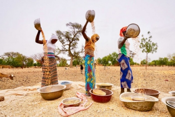 Coronavirus - Afrique : Le PAM alarmé par les chiffres de la faim au Sahel