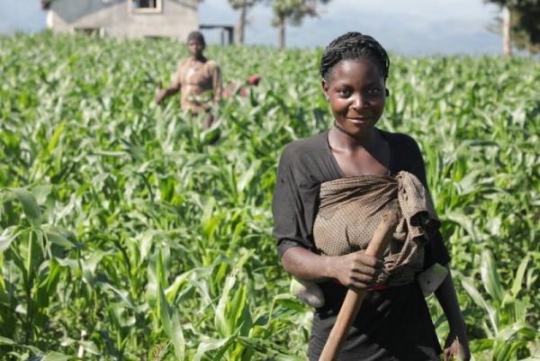 RD Congo : L’Allemagne fait un don de 50 millions d’euros afin de renforcer la résilience