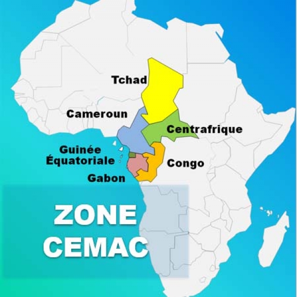 Covid-19 : la BAD mobilise plus de 13 millions de dollars pour soutenir la zone (CEMAC) et la République démocratique du Congo