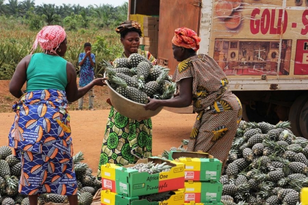 Z&eacute;ro droit de douane : la Chine et l'Afrique vers une proximit&eacute; sans pr&eacute;c&eacute;dent (PAPIER GENERAL)