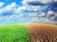 En C&ocirc;te d&rsquo;Ivoire, on r&eacute;fl&eacute;chit aux solutions de r&eacute;silience face aux changements climatiques