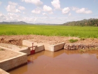C&ocirc;te d'Ivoire : Le barrage hydro-agricole de Kafin&eacute; (Niakara), un tr&eacute;sor de la culture c&eacute;r&eacute;ali&egrave;re inexploit&eacute;