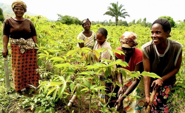 Côte d&#039;Ivoire : Convention entre une fondation ivoirienne et une société Ukrainienne pour lutter contre la pauvreté