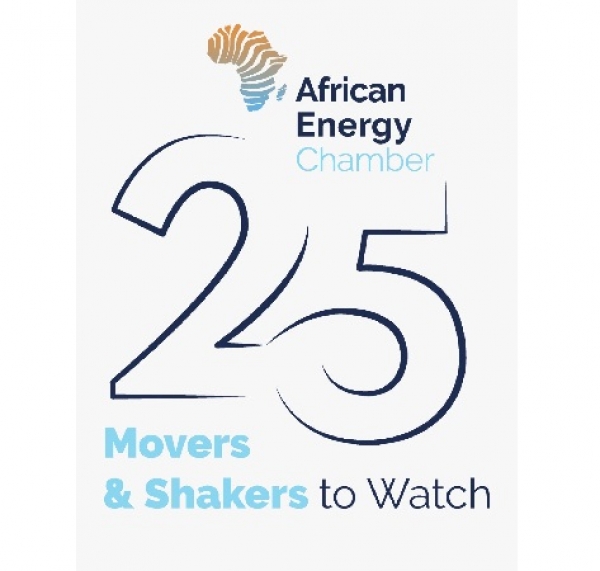 La Chambre africaine de l&#039;énergie publie sa liste du top 25 des acteurs les plus influents de l’industrie en 2021