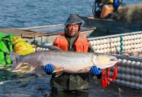 P&ecirc;che hivernale dans l'est de la Chine