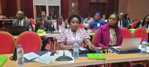 Progrès, défis et leçons de l&#039;engagement du secteur privé dans la santé en Afrique : Une analyse du Dr Emie Chirwa du Malawi